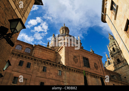 Historische Universität Salamanca, UNESCO-Weltkulturerbe, Castilla y Leon, Kastilien und Leon, Spanien, Europa, PublicGround Stockfoto