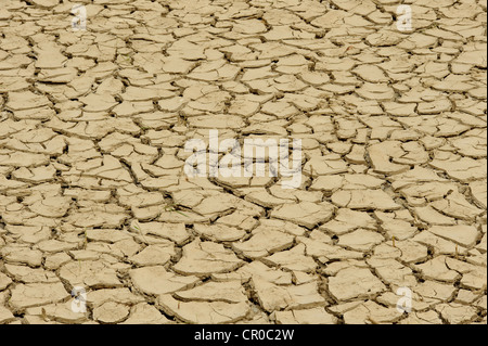 Dürr, rissige Schlamm am Boden des ausgetrockneten Teich in Trockenheit. Essex, England. April 2010. Stockfoto