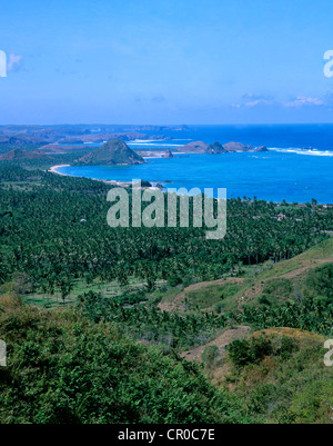 Indonesien. Lombok. Kuta Beach und Kokosnuss Palmen Bäume-Plantage. Stockfoto