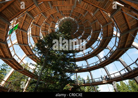 Canopy Walkway, National Park Bayerischer Wald, Bayern, Deutschland, Europa Stockfoto