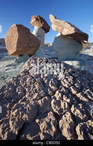 Freiberger im Stud Horse Point mit Mond, Utah, USA, Amerika Stockfoto