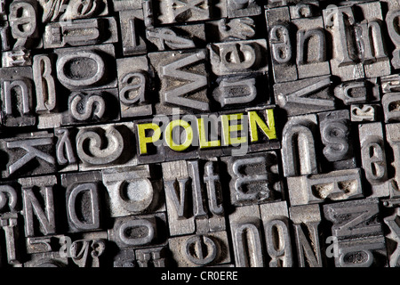 Alten führen Buchstaben bilden das Wort Polen, Deutsch für Polen Stockfoto