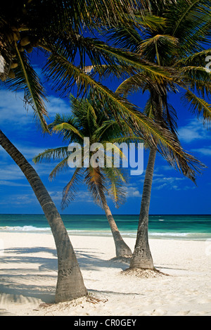 Mexiko, Quintana Roo Zustand, Akumal, Strand Stockfoto