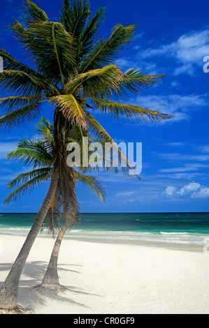 Mexiko, Quintana Roo Zustand, Akumal, Strand Stockfoto