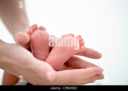 Hände eines Erwachsenen halten die Füße eines Babys, 1 Monat Stockfoto