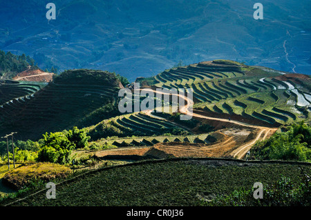 Reisfelder, Straße führt durch Reisterrassen, Sapa, Sa Pa, Vietnam, Asien Stockfoto