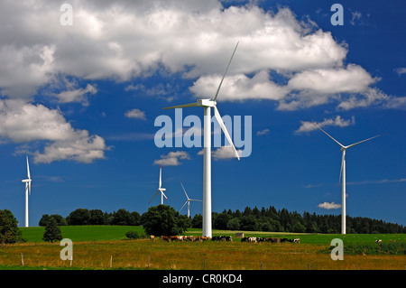 Windkraftanlagen auf Rinder weiden, Mont Crosin Windkraftwerk, Jura, Schweiz, Europa Stockfoto