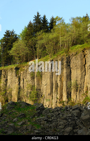 Naturdenkmal der Basaltsäulen, auch genannt Kannen auf Poehlberg Berg, Annaberg-Buchholz, Erzgebirge, Sachsen Stockfoto