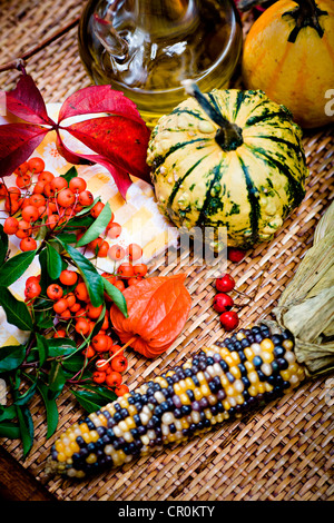 Kürbisse, Maiskolben, Laterne Blumen oder Physalis, Beeren rot Stockfoto