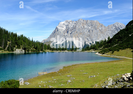 Blick über Seebensee See nach Mt Zugspitze, Ehrwald, Tirol, Österreich, Europa, PublicGround Stockfoto