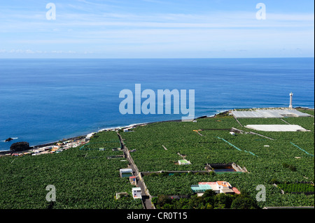 Bananen-Plantage in der Nähe von La Bombilla, La Palma, Kanarische Inseln, Spanien, Europa, PublicGround Stockfoto