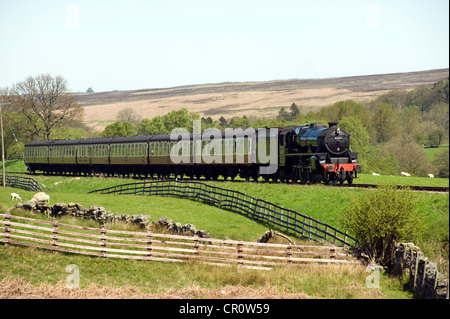 North Yorkshire moors Railway. Stockfoto