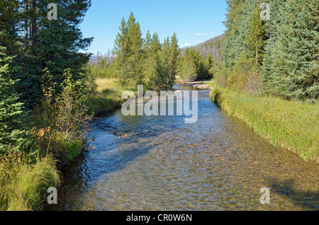 Oberlauf des Colorado River, Coyote Tal Trailhead, Kawuneeche Valley, Trail Ridge Road, Rocky Mountain Nationalpark Stockfoto