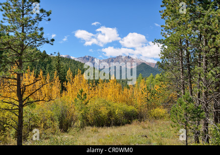 Pikes Peak, Ansicht von Pikes Peak Highway, Colorado Springs, Colorado, USA Stockfoto