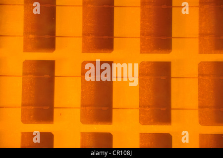 Detailansicht der solar Baum in Solar City, Ulm Wohn-Viertel, Ulm, Baden-Württemberg, Deutschland, Europa Stockfoto