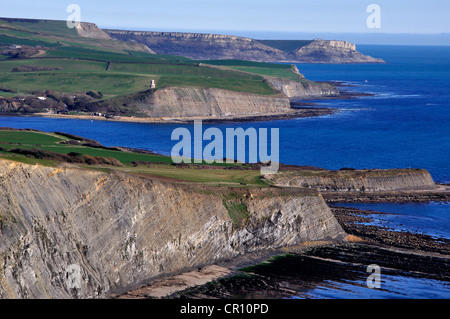 Clavel-Turm an der Jurassic Coast in der Nähe von Kimmeridge Bay Dorset UK Stockfoto