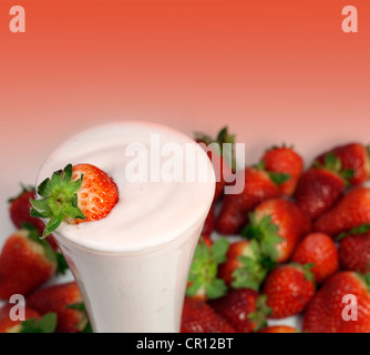 Cocktail mit frischen Erdbeeren Erdbeer smoothie Stockfoto