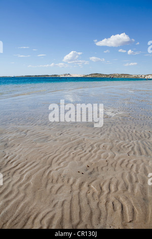 Coral Bay Beach, Teil des Ningaloo Reef marine Park in Westaustralien. Stockfoto