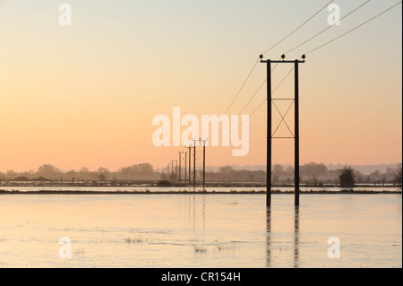 Telegrafenmasten laufen durch gefrorenen überschwemmte Felder auf den Somerset Levels, UK. Stockfoto