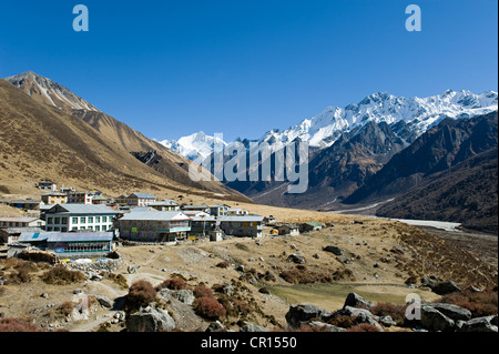 Nepal, Bagmati Zone, Langtang Nationalpark Kyanjin (3900m) Stockfoto