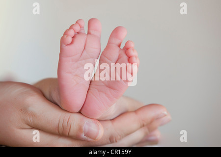 Baby-Füße in die Hände eines Erwachsenen statt Stockfoto