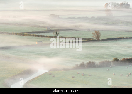 Nebel-eingehüllte Felder auf den Somerset Levels, UK. Stockfoto