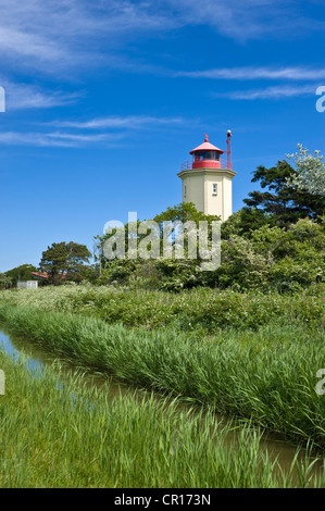 Leuchtturm auf dem Deich, Westermarkelsdorf, Insel Fehmarn, Ostsee, Schleswig-Holstein, Deutschland, Europa Stockfoto