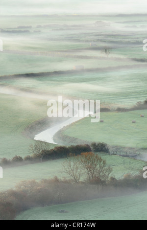 Nebel-eingehüllte Felder auf den Somerset Levels, UK. Stockfoto