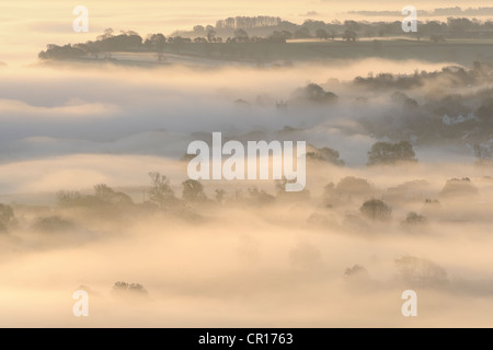 Das Dorf Wedmore in Nebel gehüllt. Wedmore, Somerset, UK. Stockfoto