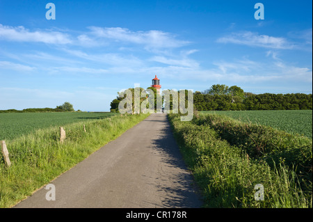 Leuchtturm an der Steilküste Staberhuk, Insel Fehmarn, Baltic Sea, Schleswig-Holstein, Deutschland, Europa Stockfoto