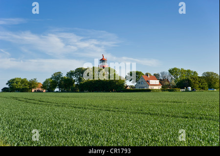 Leuchtturm an der Steilküste Staberhuk, Insel Fehmarn, Baltic Sea, Schleswig-Holstein, Deutschland, Europa Stockfoto