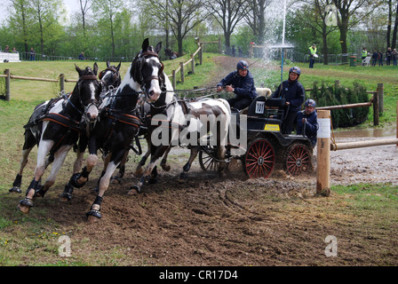 Wagen, die Meisterschaft in Horst, Niederlande Stockfoto