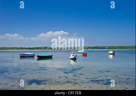 Fehmarnsund an Grossenbroderfaehre, Grossenbrode, Ostsee, Schleswig-Holstein, Deutschland, Europa Stockfoto