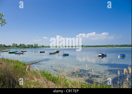 Fehmarnsund an Grossenbroderfaehre, Grossenbrode, Ostsee, Schleswig-Holstein, Deutschland, Europa Stockfoto