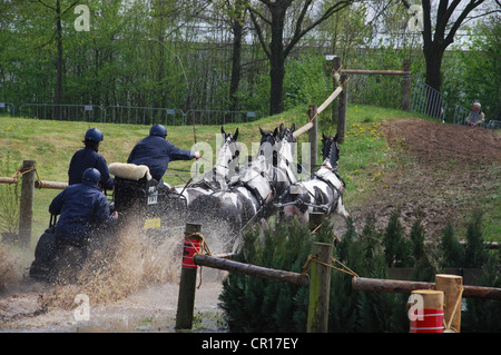 Wagen, die Meisterschaft in Horst, Niederlande Stockfoto