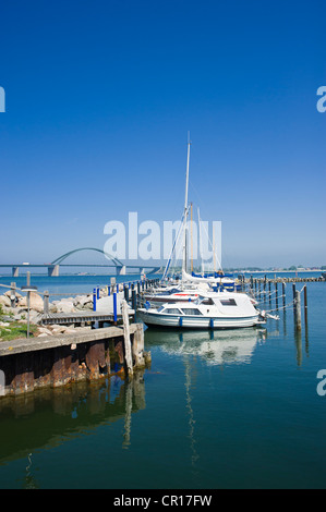 Marina mit Fehmarn-Sound-Brücke bei Grossenbroderfaehre, Grossenbrode, Ostsee, Schleswig-Holstein, Deutschland, Europa Stockfoto