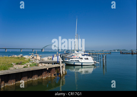 Marina mit Fehmarn-Sound-Brücke bei Grossenbroderfaehre, Grossenbrode, Ostsee, Schleswig-Holstein, Deutschland, Europa Stockfoto