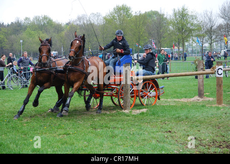 Wagen, die Meisterschaft in Horst, Niederlande Stockfoto