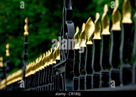 Nahaufnahme Detail der vergoldeten schmiedeeisernen Geländer Geländer England Großbritannien Großbritannien GB Großbritannien Stockfoto