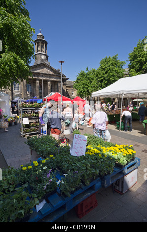 Markt am Samstag auf dem Marktplatz Market Street Lancaster mit blume Stall und dem Alten Rathaus, jetzt die Stadt Museum Stockfoto