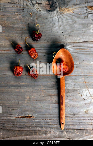 Chili Paprika (Paprika) mit einem Holzlöffel auf einer rustikalen Holzoberfläche Stockfoto