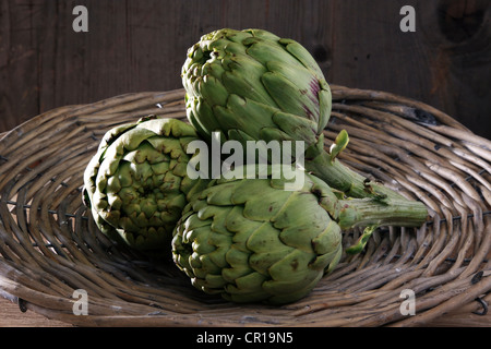 Drei Artischocken (Cynara Cardunculus) in einem Korb Stockfoto