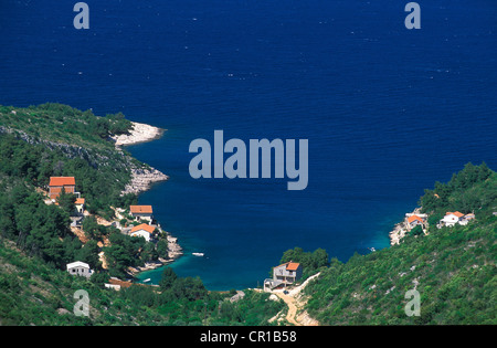 Kroatien, Süd-Dalmatien, dalmatinische Küste, Mljet Insel Stockfoto