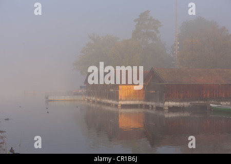 Nebel am See Staffelsee mit der Insel Woerth in der Nähe von Seehausen, Murnau, Upper Bavaria, Bavaria, Germany, Europe, PublicGround Stockfoto