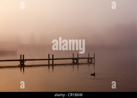 Wharf im Nebel am See Staffelsee mit der Insel Woerth in der Nähe von Seehausen, Murnau, Bayern, Oberbayern, PublicGround Stockfoto