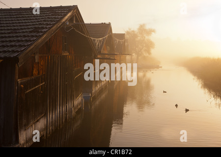 Nebel am See Staffelsee mit der Insel Woerth in der Nähe von Seehausen, Murnau, Upper Bavaria, Bavaria, Germany, Europe, PublicGround Stockfoto