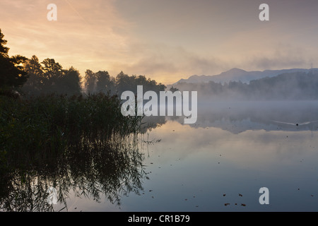 Nebel am See Staffelsee mit der Insel Woerth in der Nähe von Seehausen, Murnau, Upper Bavaria, Bavaria, Germany, Europe, PublicGround Stockfoto