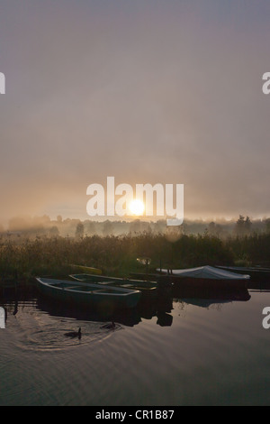 Nebel am See Staffelsee mit der Insel Woerth in der Nähe von Seehausen, Murnau, Upper Bavaria, Bavaria, Germany, Europe, PublicGround Stockfoto