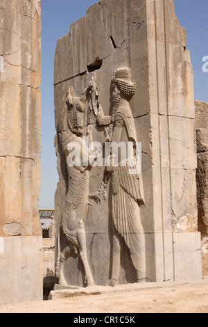 Iran, Provinz Fars, Persepolis, UNESCO-Welterbe, Flachrelief einer Säule des Palastes der 100 Spalten Stockfoto