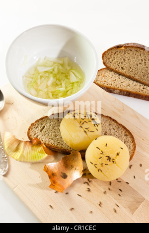 Traditionelle Speisen der Frankfurt, deutsche Hand Käse oder Harzer Käse mit Kümmel, Zwiebeln und Schwarzbrot Stockfoto